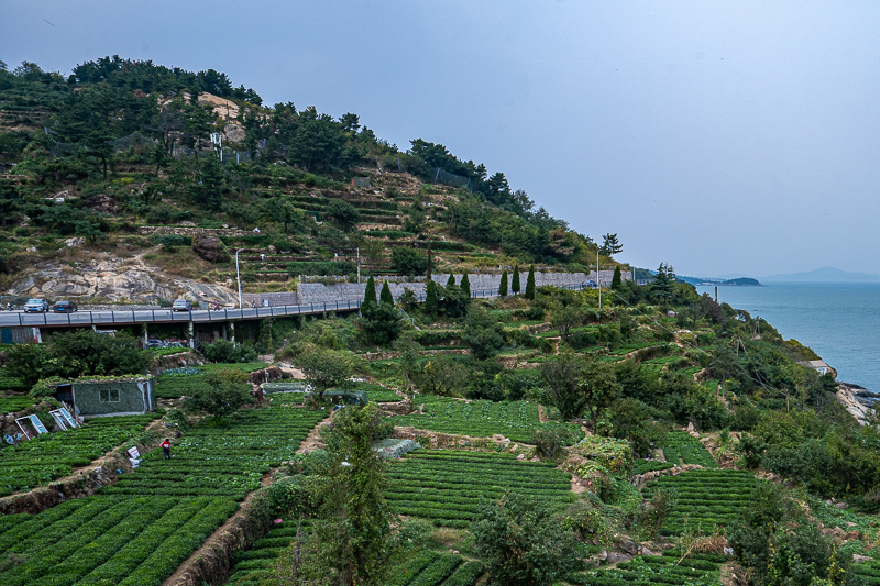 青島自由行？青島四日自由行攻略